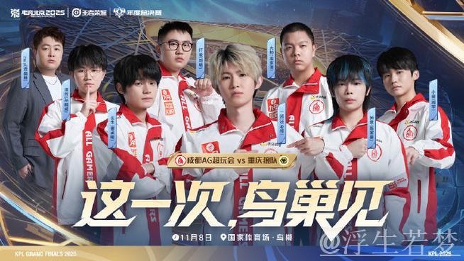 决赛之巅，无败者对决